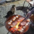 풀솜할머니 | 청송 촌캉스 에어비앤비 [풀솜할머니]