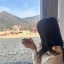 새재산버섯식당 | [문경] 문경 1박2일 여행코스 추천 •약돌돼지•한옥숙소•고모산성•문경새재