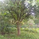 선주농장 이미지