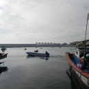 낭만횟집 이미지