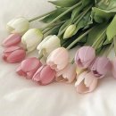 마레네일 - 완도군 청해진남로24번길 13 | 마레네일