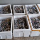 종고초등학교 이미지