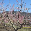 차경농장 이미지