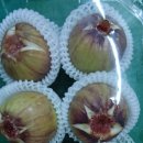 덕곡주유소 이미지