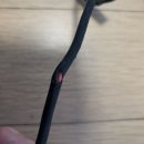 얼라인 짐 이미지