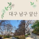 계명대월드태권도 | 대구 남구 앞산 : 아름다운 앞산 벚꽃/앞산 개나리/파릇파릇한 봄/남구구민체육광장 축구장!