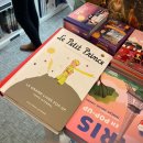 (주)평생동반자우리 | 25.11.02](🇫🇷파리 여행)낭만 가득 파리여행 후기 (디즈니랜드, 베르사유, 파코만난 후기, 라이언에어)