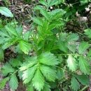 선학초등학교 이미지