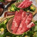 진상샤브샤브 | 강남역 프라이빗한 룸이 있는 고급 샤브샤브 맛집 진상샤브샤브