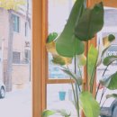 인이스테이 이미지