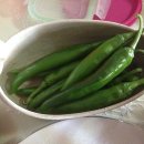 오작교농장 이미지