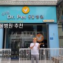 Dr.주 동물병원 | 호치민 동물병원 추천 – 푸미흥에서 믿고 찾는 Dr. Pet 동물병원
