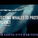 바다자원 이미지