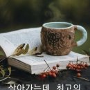 시니어 겨울나이 우정/ 연애/ 사랑의 조건... 이미지