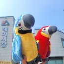 동천문구