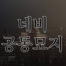 네비가 이미지