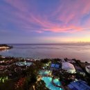 로얄룸클럽 이미지