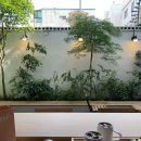 아프니카 이미지