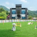 샤갈스파펜션 이미지