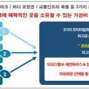 오션파크관광호텔 이미지