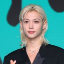 필릭스 카카오 검색결과
