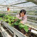 오진농장 이미지