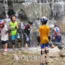 반딧불 자연휴양림 이미지