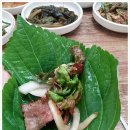 자연오리 이미지