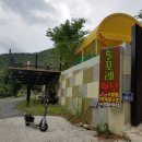 솔포레
