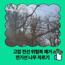 강동큰나무지역아동센터 | 고압 전선 위험목 제거 전기선 나무 자르기