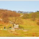 안반데기 목장 이미지