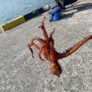 문중방파제 이미지