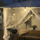 소솜,하루 이미지