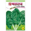 씨앗 이미지