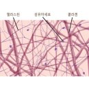 모델라지 이미지