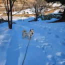 옥계 백봉이네 이미지