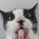 몽상네일