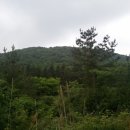 정석목장 이미지