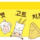 타코로와 이미지