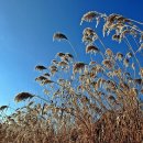 청미천 1 이미지