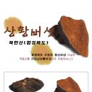 가이아메딕스주