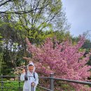 지석로 이미지