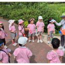 남선미유치원 이미지