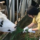 새봄목장 이미지