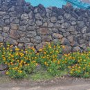 쉼터민박 이미지