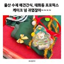 포포픽스 이미지