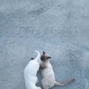 예본농장 네이버블로그