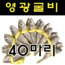 영광굴비 - 해남군 신안길 64-27 | 영광굴비