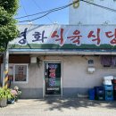 신비반점 이미지