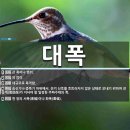 후쿠오카 2편